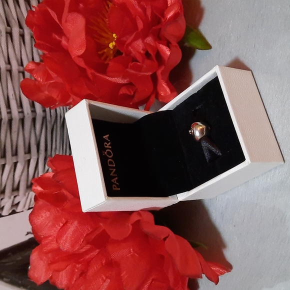 Apple of my Eye Pandora Charm - Picture 2 of 8